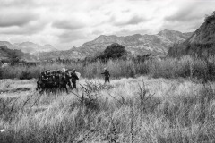 After Guatemalan security forces tried to break up a 10,000-person -strong caravan and stop their northward journey, police officers search for people hidden in the forest in Vado Hondo, Guatemala, on January 18, 2021.
Despite COVID-19-related border closures, refugees and migrants from Central America continued to flee their countries and head north throughout 2020 and 2021.
Hurricanes Eta and Iota hit Central America, in November 2021, leaving 9.3 million victims (UNICEF) of flooding and mudslides, and fueling a significant migration to the United States- one of the biggest of the recent decades-which came on the heels of other recent migrations, often caused by political instability and uncontrolled gang violence. After Guatemalan security forces tried to break up a 10,000-person -strong caravan and stop their northward journey, police officers search for people hidden in the forest in Vado Hondo, Guatemala, on January 18, 2021.
Despite COVID-19-related border closures, refugees and migrants from Central America continued to flee their countries and head north throughout 2020 and 2021.
Hurricanes Eta and Iota hit Central America, in November 2021, leaving 9.3 million victims (UNICEF) of flooding and mudslides, and fueling a significant migration to the United States- one of the biggest of the recent decades-which came on the heels of other recent migrations, often caused by political instability and uncontrolled gang violence.