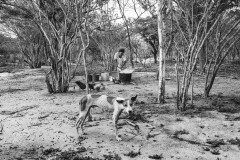A woman cooks soup in 2016. According to the Wayuu and their advocates; there is no longer enough water for the subsistence crops that once supplemented their poor diets.